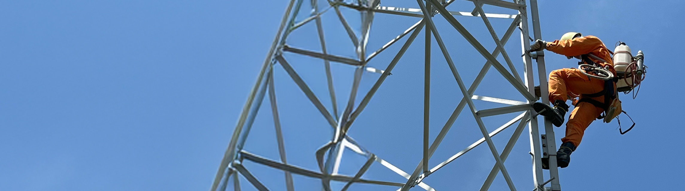 電力インフラを守る高所活線清掃作業員